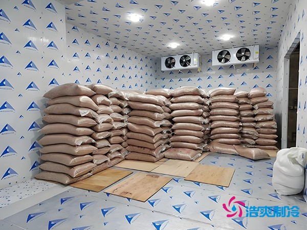 2萬(wàn)起建種子冷庫(kù)？這些因素讓造價(jià)翻倍！
