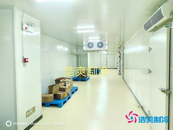 建造一個小型紅酒冷庫的大致造價費用多少錢？
