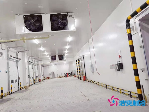 冷庫造價懸殊？揭秘每平米價格背后的秘密！