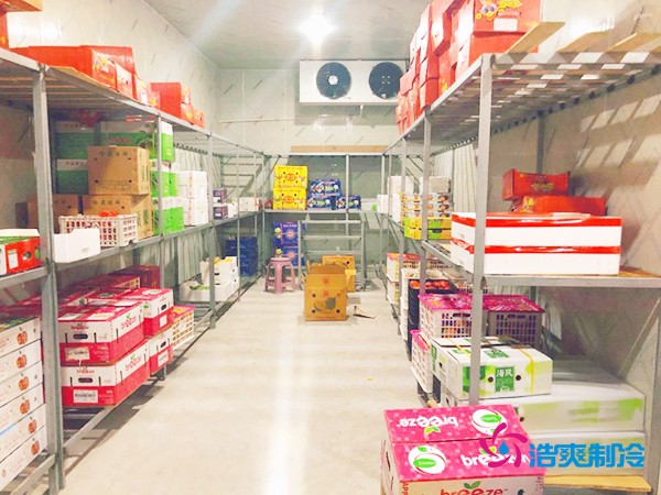 5噸水果需要多大冷庫(kù)？答案出乎意料！
