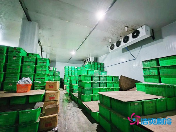 水果保鮮冷庫建造價(jià)格每平米多少錢？