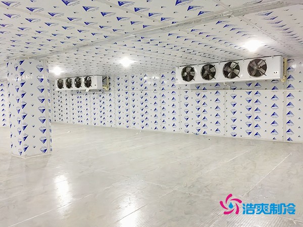 100噸橙子保鮮冷庫造價