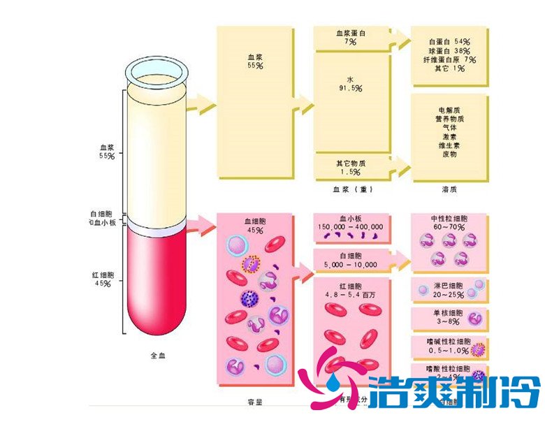 -30℃～-80℃血漿蛋白低溫冷凍庫規(guī)范，冷庫安裝價格